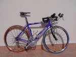 DSC09036.JPG