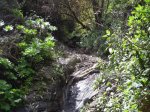 DSCN6354.JPG