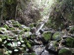 DSCN6360.JPG