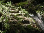 DSCN6361.JPG