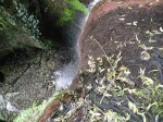 DSCN6378.JPG