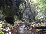 DSCN6380.JPG