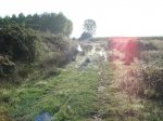 Camino_2008_157.jpg