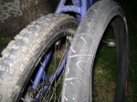 DSC00436.jpg