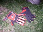 DSC00438.jpg