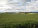 IMG_0410 (Small).JPG
