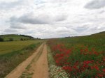 IMG_0462 (Small).JPG