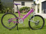 BICI ANCIILLOTI dm-90.jpg