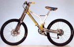 BICI ancilloitti.jpg