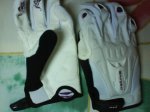 DSC01075.jpg