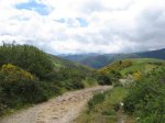 IMG_0253 (Small).JPG