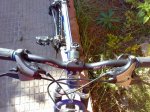 mini-08112008196.jpg