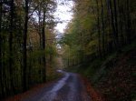 SELVA IRATI 2008 167.jpg
