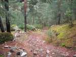 100_1025.JPG