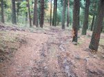 100_1078.JPG