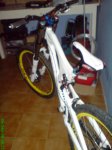 Imagen 445.jpg