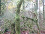 DSC00830.JPG