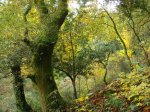 DSC00836.JPG