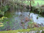 DSC00837.JPG