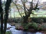 DSC00838.JPG