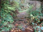 DSC00840.JPG