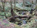 DSC00842.JPG