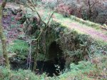 DSC00843.JPG