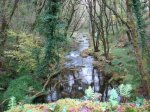 DSC00844.JPG
