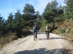 jarosa03.JPG