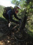jarosa11.JPG