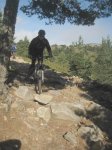 jarosa12.JPG