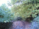 sierra de san vicente 030.jpg