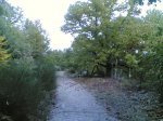 sierra de san vicente 033.jpg