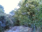 sierra de san vicente 038.jpg
