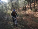 jarosa32.JPG