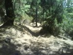 DSC00557.jpg