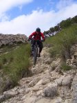 203-maigmo_B_alicante.JPG