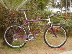 235195Breezer2.jpg