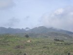 DSCN0135.jpg