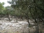 IMG_1945.JPG