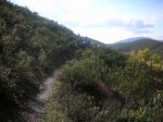 DSCN5359.JPG