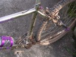 DSCN1406.jpg