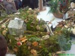 DSC01029.jpg