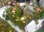 DSC01030.jpg
