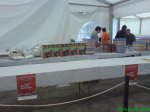 DSC01035.jpg