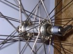 DSC00386.JPG