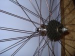 DSC00389.JPG