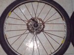 DSC00062.jpg