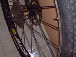 DSC00063.jpg
