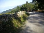 IMGP0422.jpg